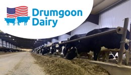 Preston: The 5 non-negotiables of a resilient dairy business